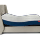 Wave Plus Adjustable Bed with Tranquil Sea Shell Upholstered Bed and Livein Orthopedic Mattress